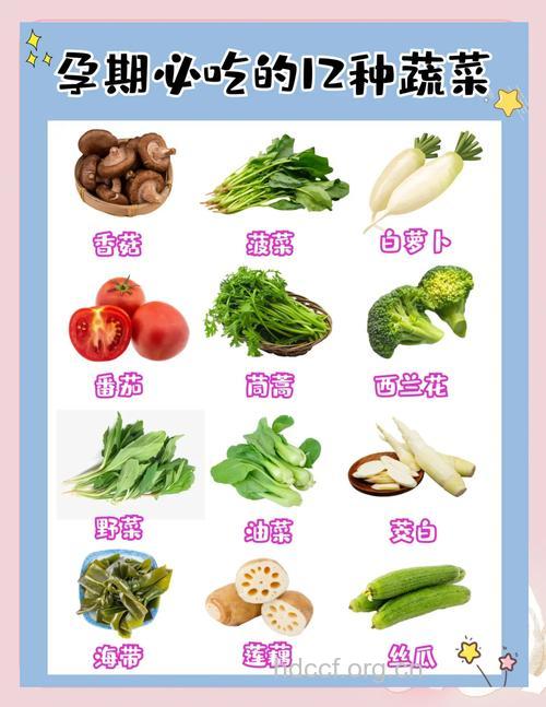 孕妇要多吃绿色蔬菜