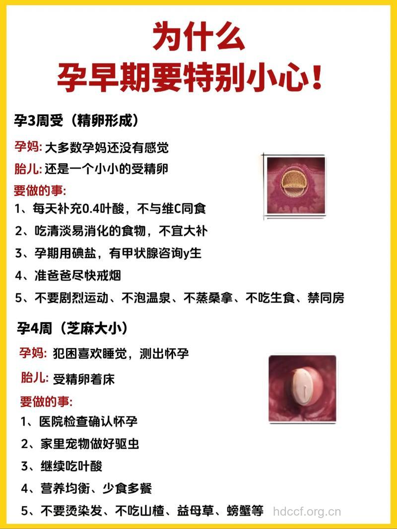 孕初要做什么？