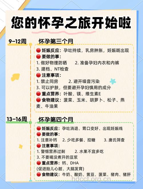 孕前做好9方面的准备