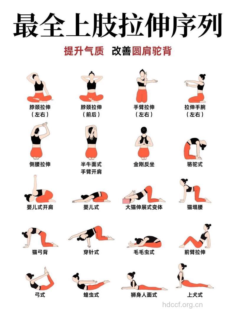 皮肤伸展术的分类