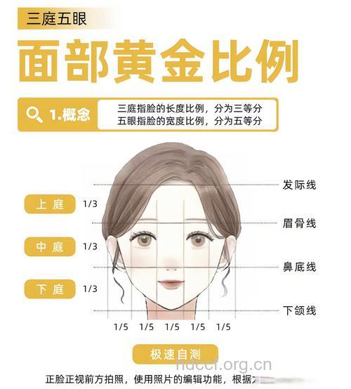 整形比例很重要
