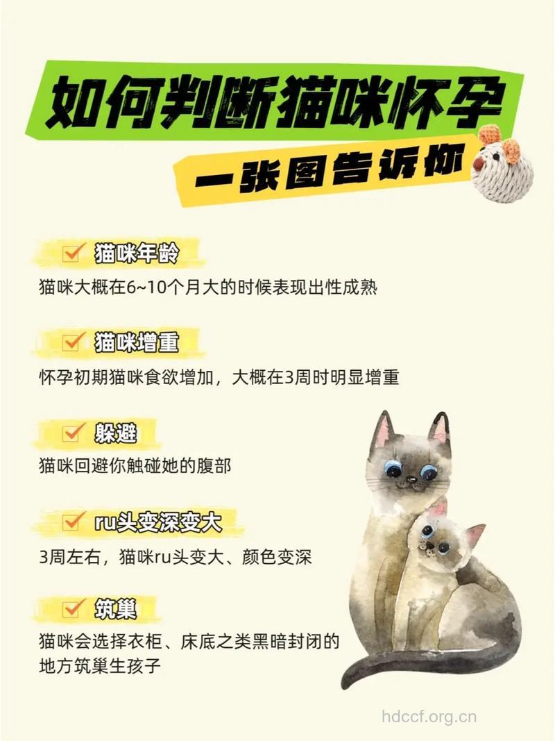 准妈妈必知 怀孕也能养宠物