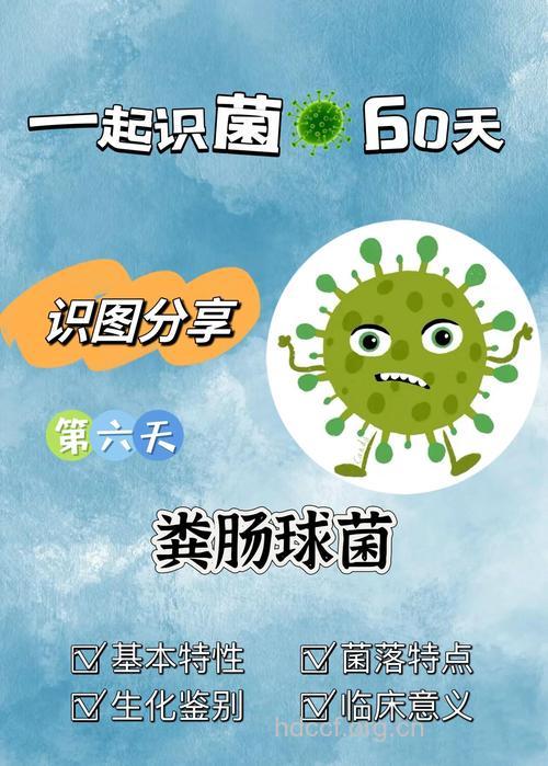 您最易忽视的七大细菌滋生地
