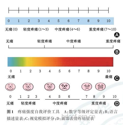 五大微创整形术的疼痛指数PK