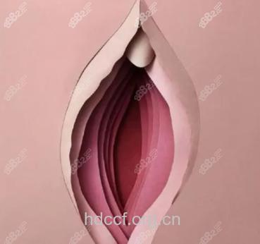 调查热门整形中最不满意的部位