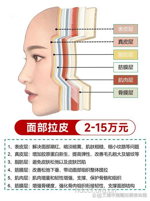 整形手术大解析-面部除皱