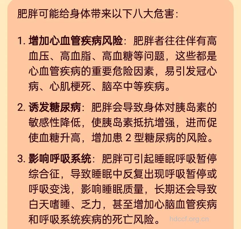 如何预防男性中年肥胖?