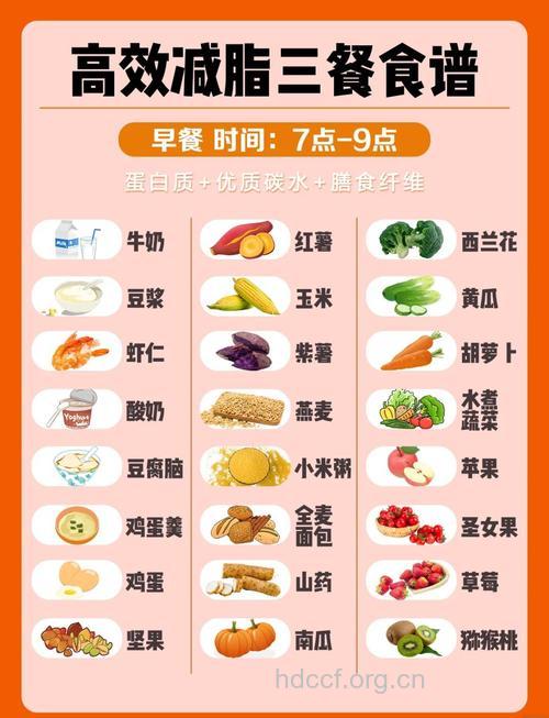 瘦身达人推荐三日健康减肥食谱