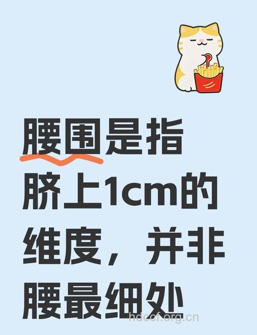 告别“水桶腰” 4个习惯控制腰围