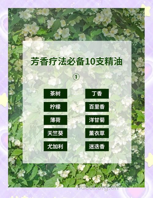 大自然的恩赐——芳香精油护肤法
