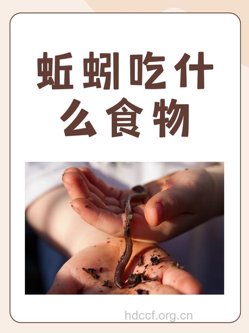 活吞蚯蚓真的能减肥吗?