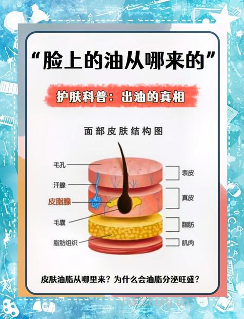 肌肤控油有哪些常见的谋略