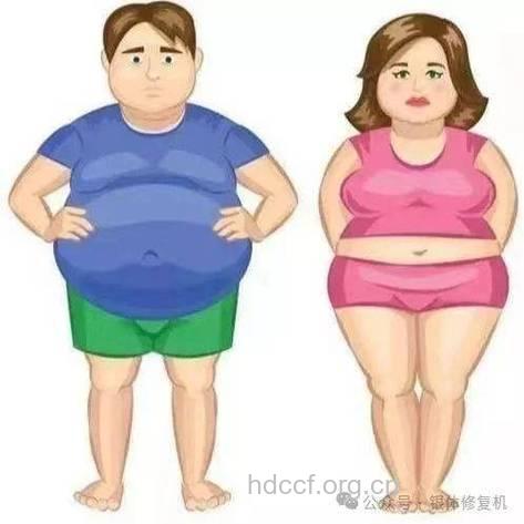 父亲身材过度肥胖更易遗传给子女