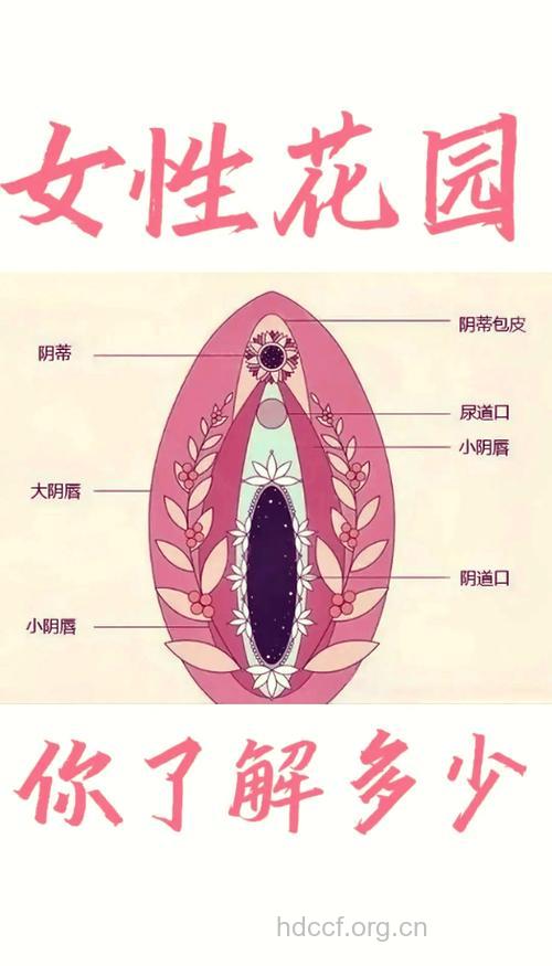 女性私处的6个“秘密”