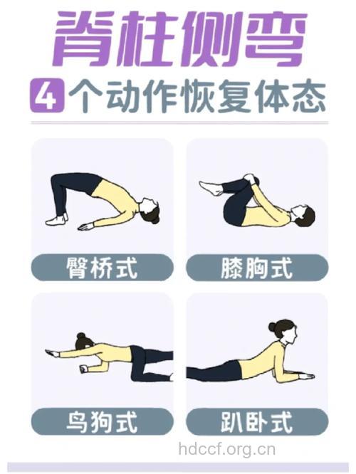 怎么让你恢复完美曲线
