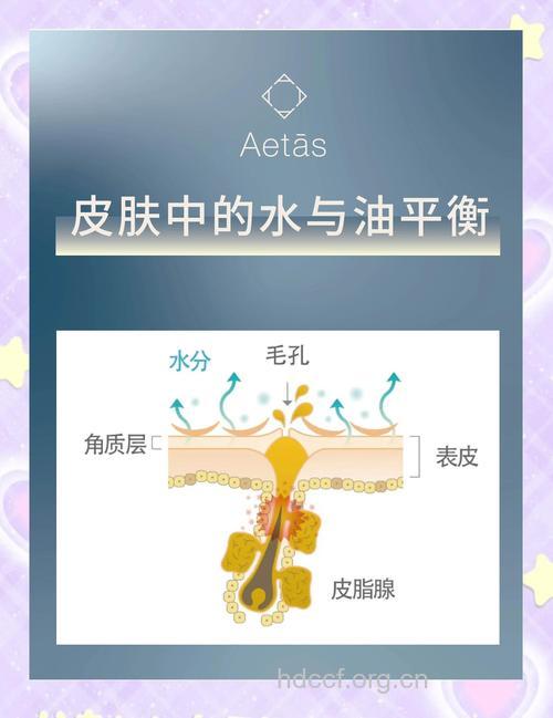 肌肤怎么水油均衡方法
