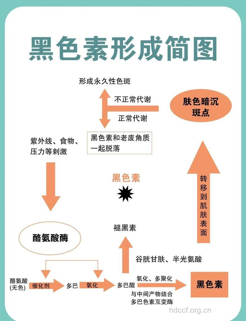 肌肤变黑经历哪些过程