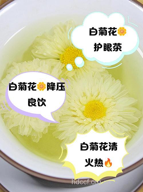 菊花 女性养颜美白的好帮手