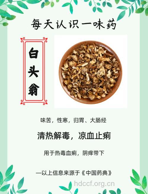 治疗白发的17个有效祖传秘方