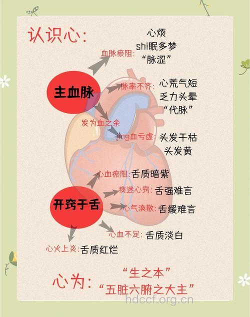 六大妙招让女性的心脏更年轻