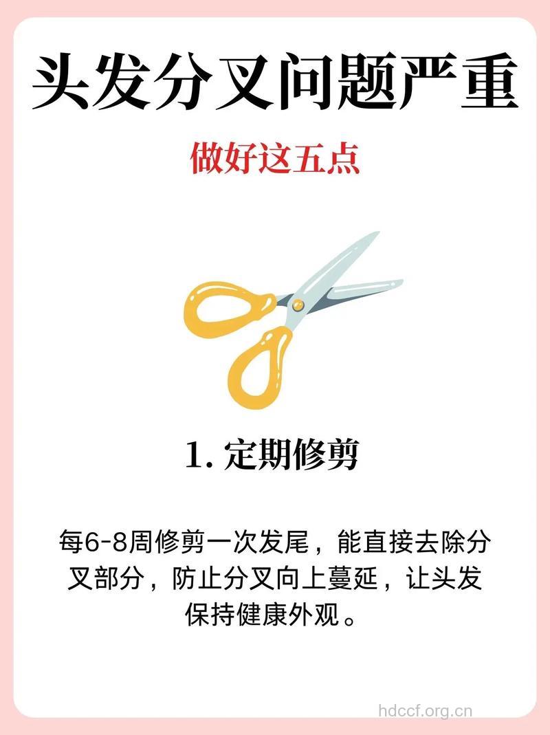 头发老不剪反而差 防头发分叉应该这样做