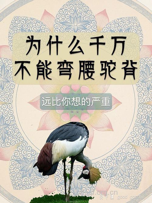 举举手耸耸肩远离虎背熊腰