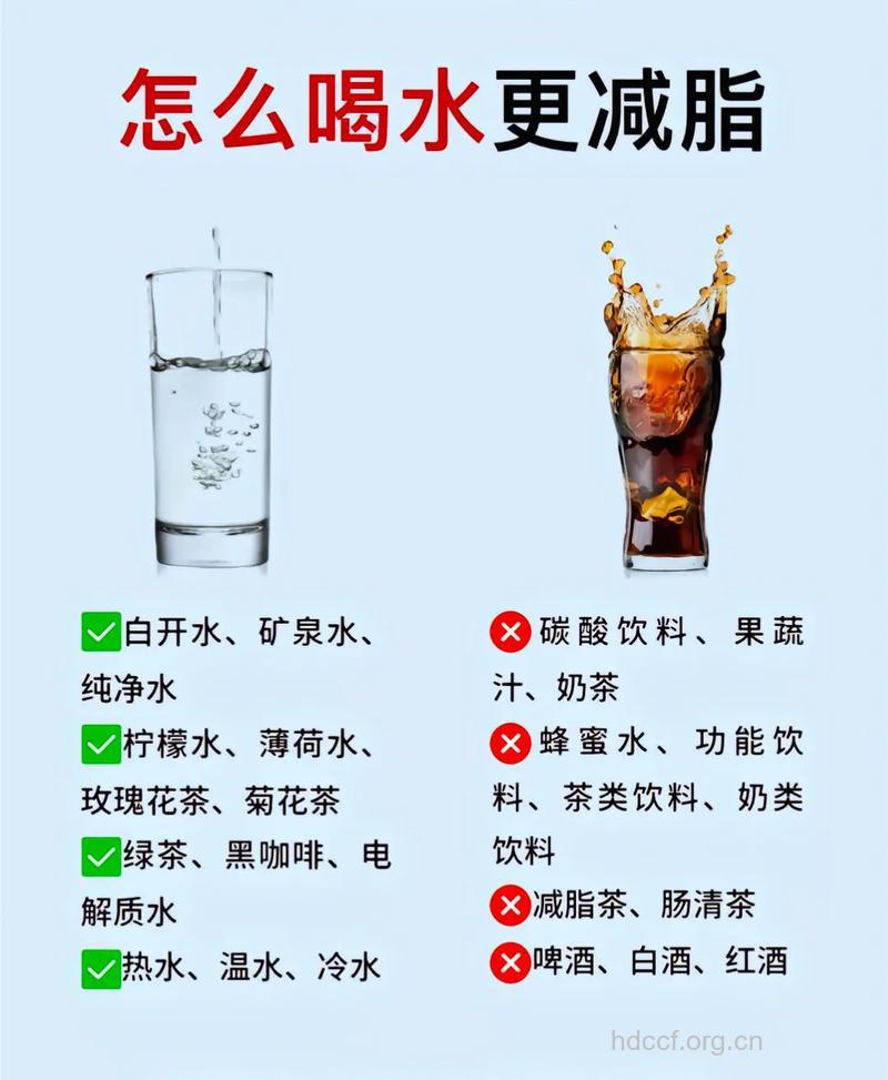 喝水也能减肉肉的神奇功效