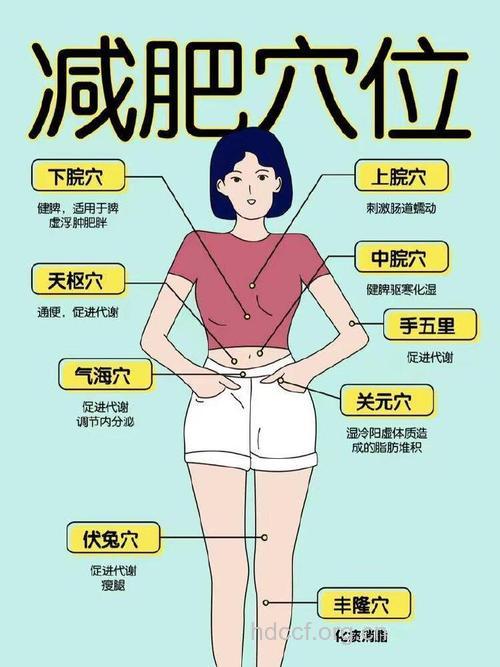 女人身上最难减的部位 大多数人不知道