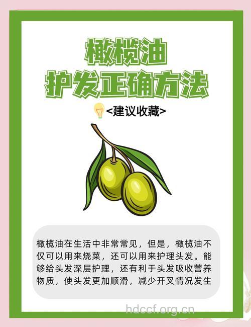 细数橄榄油的护发诀窍