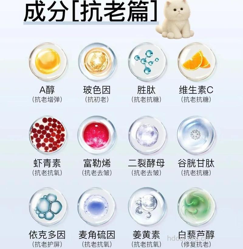 哪些元素可有效延缓衰老