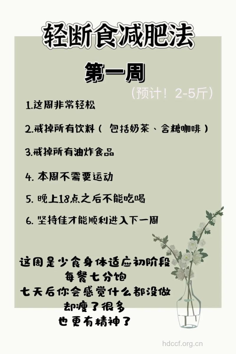 最新的无饥饿减肥方式