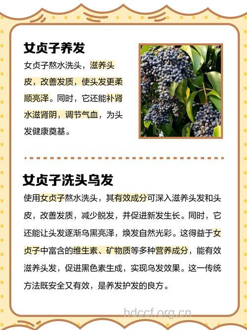 古代女子的护发秘方