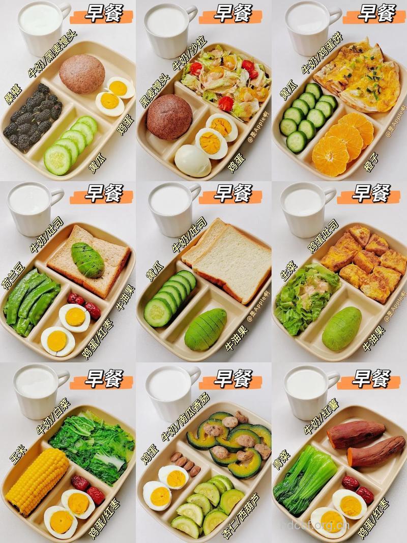 白领减肥午餐带这些 一周瘦7斤