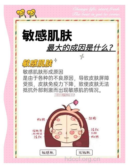 干性肌肤易过敏 夏季干性肌肤需这样保养