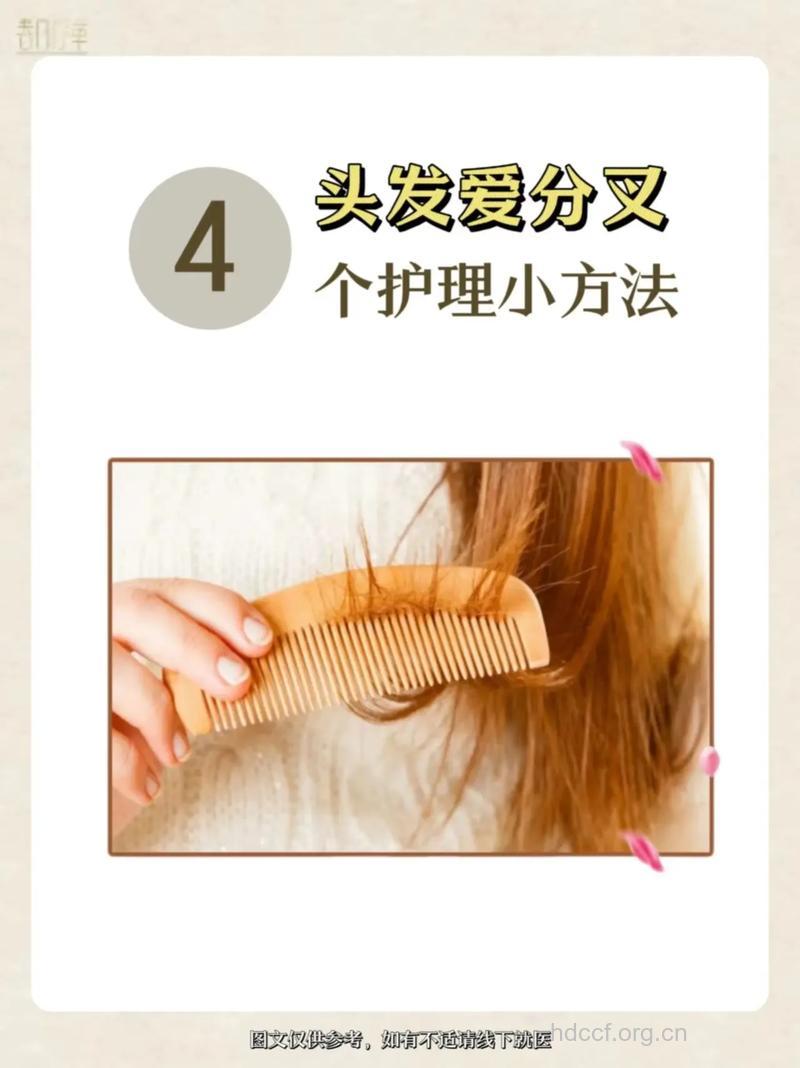 头发分叉该怎么护理