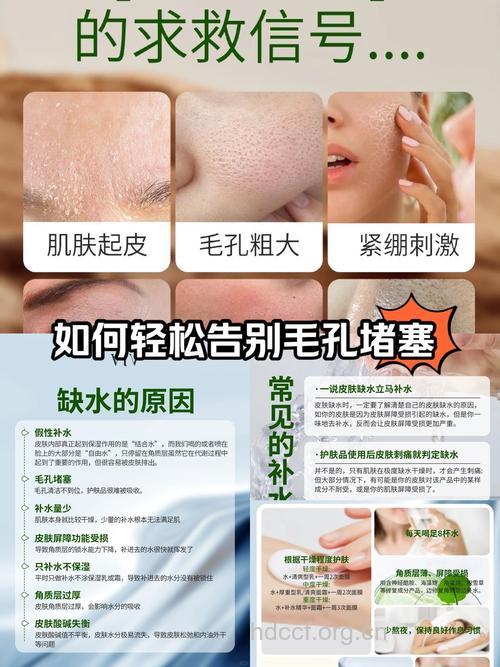 毛孔堵塞该咋办 疏通皮肤毛孔有妙招