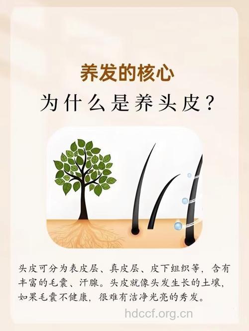 怎么给头皮补充营养方法