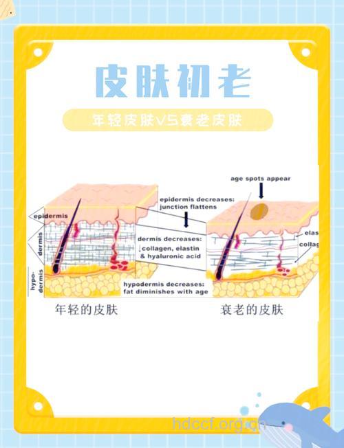 皮肤抗老新玩法