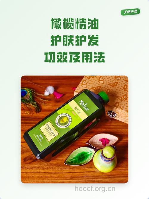 怎么用橄榄油护理秀发