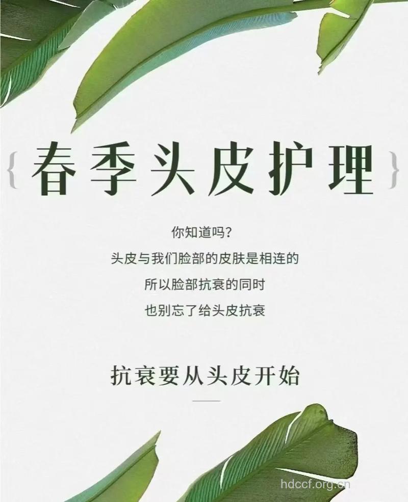 春季护理头发的小原则
