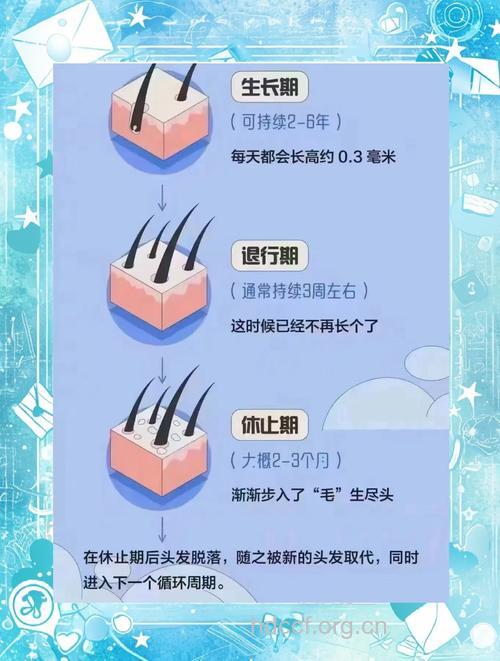 变化发型前的小常识