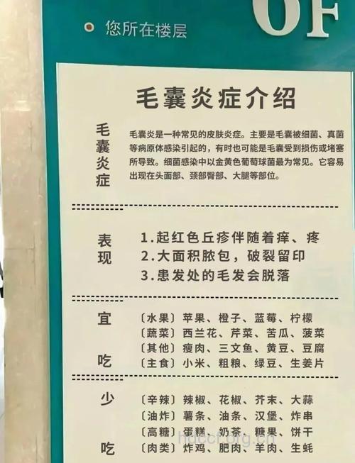 怎么预防头皮毛囊炎