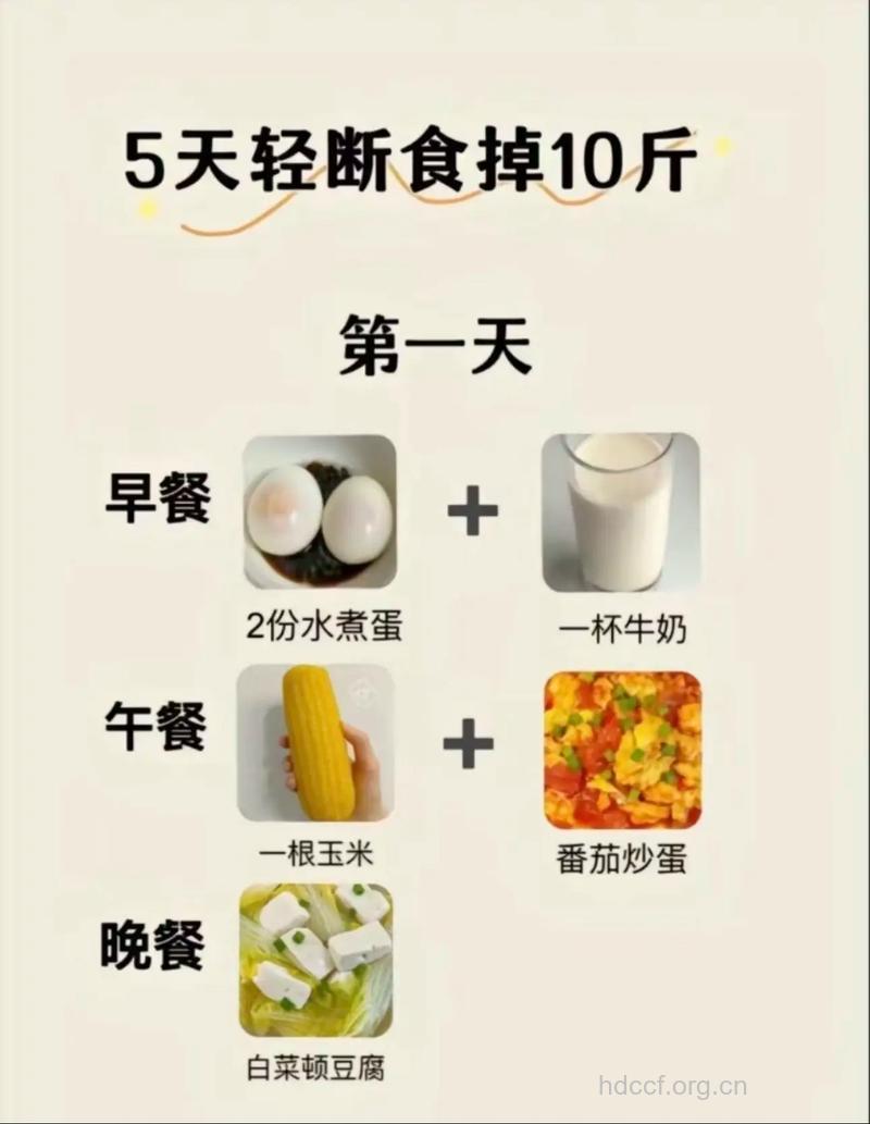 中药减肥食谱一周狂甩10斤肉