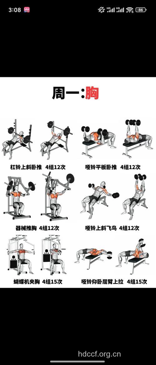 丰胸的健美操有哪些？