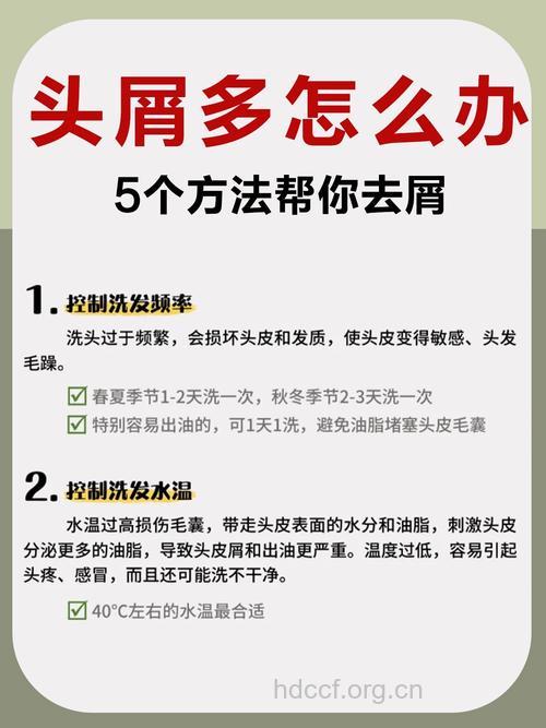冬季教你摆脱头皮屑的方法