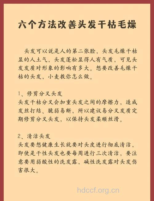 头发干枯毛躁不可怕 日夜护发有绝招
