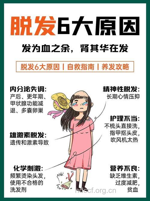每天脱发多少算疾病?烫染发伤不起