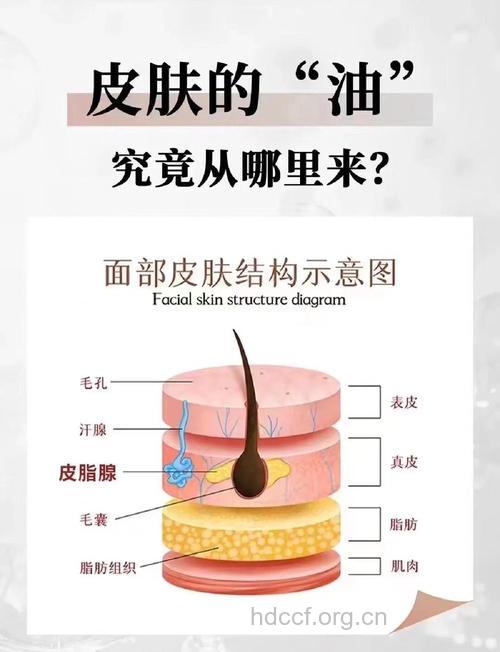 皮肤出油的原因以及有效的控油方法