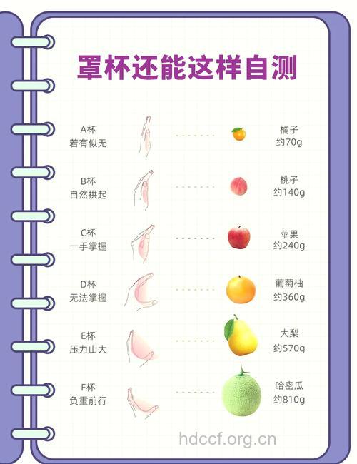 胸部大小与智商是否有关系