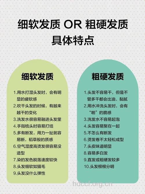 不同发质如何区别保养
